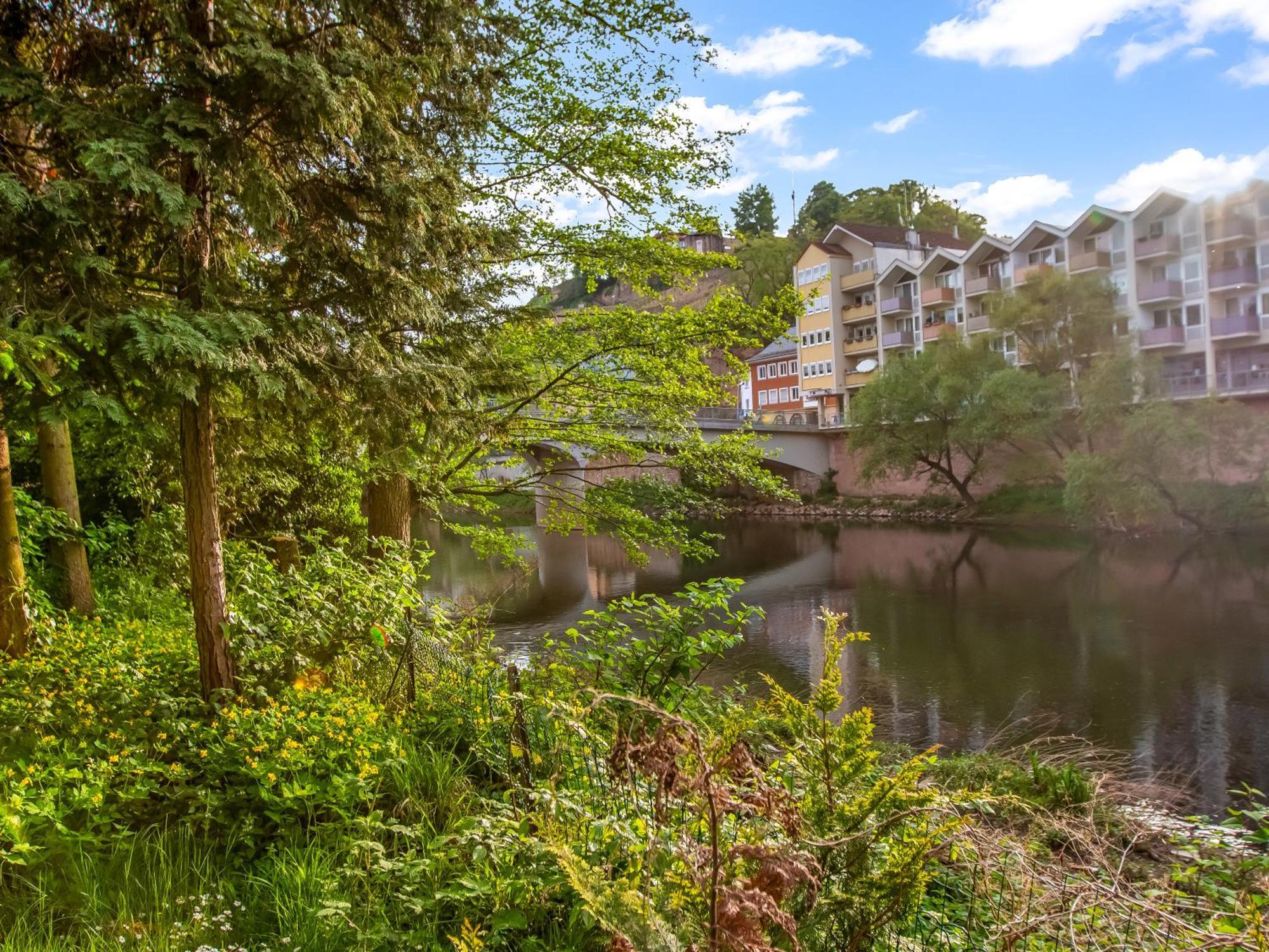 Altstadt Apartment Am Wasser Mit Parkplatz Und Grossem Garten Bad Kreuznach Exterior foto